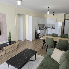 Charming 1+1 Caesar Resort Apartment