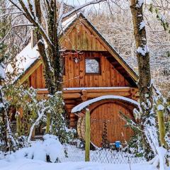 Log cabin II - Holiday with dog