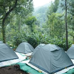 Hidden Valley Wayanad