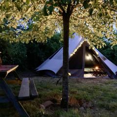 Bivouac sous les pommiers dans une tente Tipi