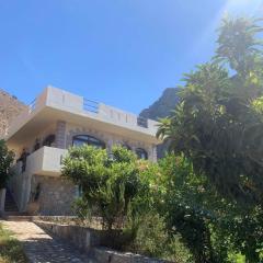 Artemisa House