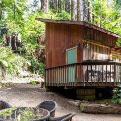 Lofted Studio Cabin in the Redwoods!