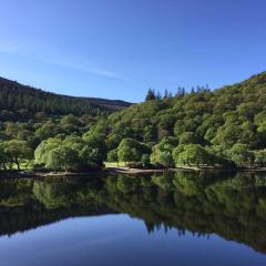 Unique Cottage in Glendalough