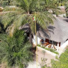 Beach residence vila with pool