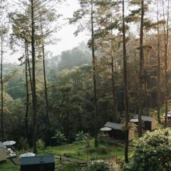 Bobocabin Pacet, Mojokerto