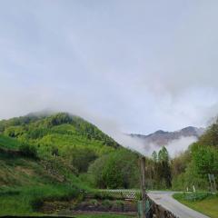 Wohnung im Nationalpark Kalkalpen 3