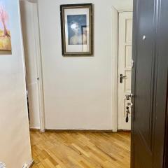 Cosy apartment in Tbilisi, Didube