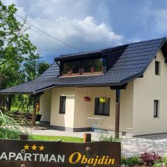 Holiday home, Apartman Obajdin