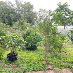 Summer Stations Homestay Binh Chau - Ho Coc Beach - Vung Tau