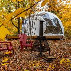 Dôme Forestier - Expérience Glamping détente