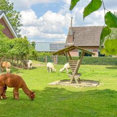 Alpacafarm Vorstenbosch