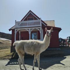 Sommerstue Hessdalen