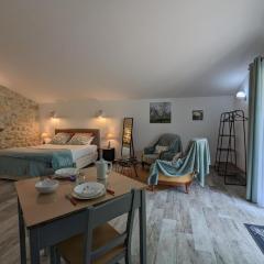 Studio Châteauneuf-sur-Charente, 1 pièce, 2 personnes - FR-1-653-258