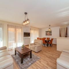 Silver Pine Apartments Kolasin