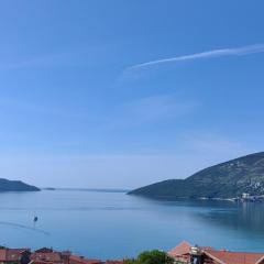 Apartmani Milicevic