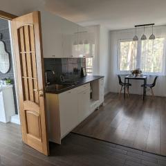 Pine forest house 6