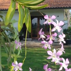 Rumah Markisa Batukaras