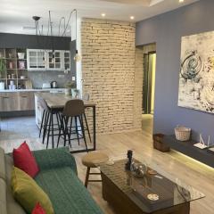 Luxury Mihajlovik Apartment in the City CENTER of SKOPJE