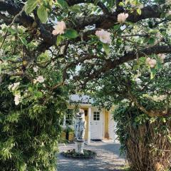 Villa Sol B&B and Hostel