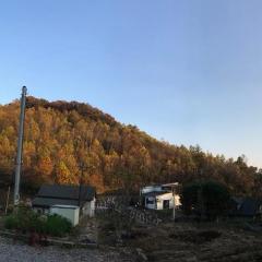 House in the forest