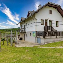 Vineyard Homestead Vrtin - Happy Rentals