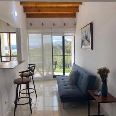 Apartamento Entero 201 NUEVO