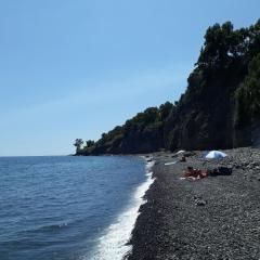 Lemon's House by the sea
