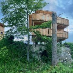 Wald ist Zukunft [Baumhaus Bernbeuren]