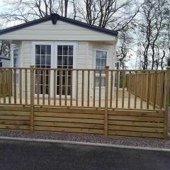 Forestbrook - Cheerful two bedroom tiny house