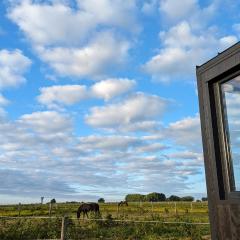 Tiny House La Cavalerie, au milieu des chevaux !