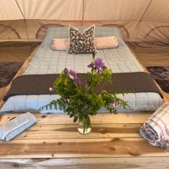 Bluebell Tent at Ballyward Croft