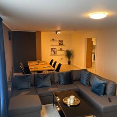 IQ Apartments 1