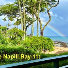 The Napili Bay 111 - Ocean View Studio - Steps from Napili Beach