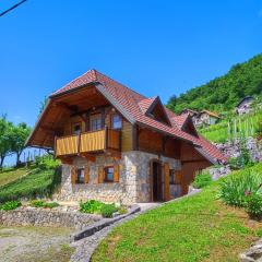 Vineyard cottage Kralj