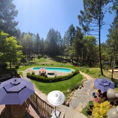 Luxury Napa Vineyard Estate 15 min from St. Helena