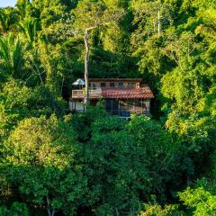 Ian Anderson Caves Branch Jungle Lodge