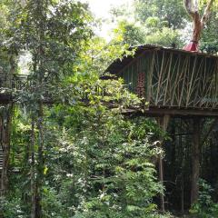 Cabaña en el arbol del Tacana