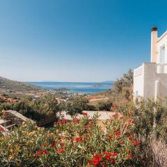 Villa Il Paradiso Andros