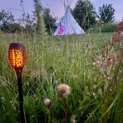 Romantic Wildlife Tipi Teepee Tomnatic Bihor Romania Apuseni