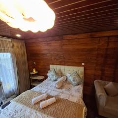 Langit dieng cabin