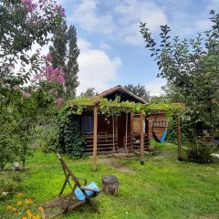 Tiny houses Genacvale