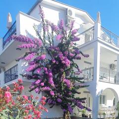 Apartments PROVA ****