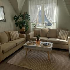 Light terrace city apartment Alesund