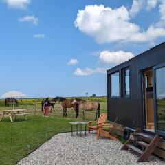 Tiny House La Cavalerie, au milieu des chevaux !