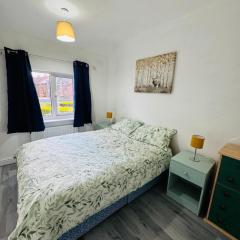 Newly Refurbished cheerful 4 BR house - free parking