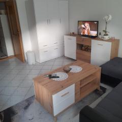 Studio apartman City Centre Rogatica