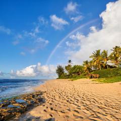 Paradise Apartment in North Shore Oahu Hawaii