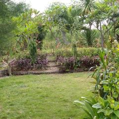 West Bali Menjangan Tour