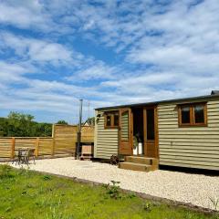 Lintmill Lodges - Thistle Shepherds Hut