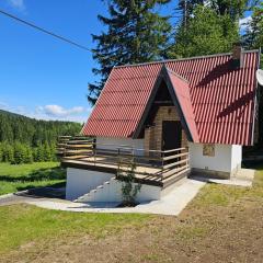 Planinski vrh